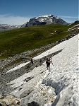 Anterne