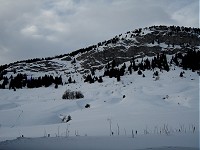 Tour des Frêtes