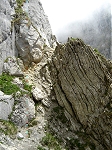 Dent d'Oche