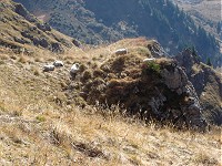 Lac et Roc de Tavaneuse