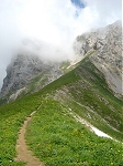 Tournette