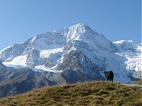 Aiguilles Rouges