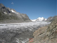 Aletsch