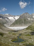 Aletsch