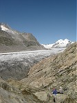 Aletsch