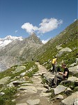 Aletsch