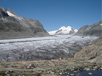 Aletsch