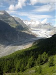 Aletsch