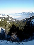 Bellevue