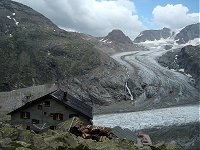 Bernina - J5