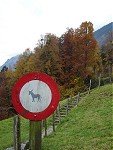 Brienz-Interlaken