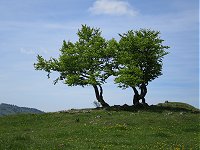 chasseral