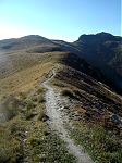 Combins - J1