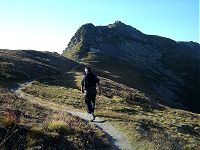 Combins - J1