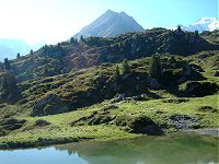 Combins - J2