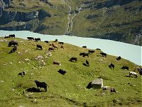 Combins - J3