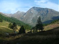 Combins - J5