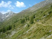 Combins - J5