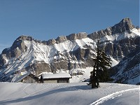 Diablerets