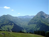 Gstaad-Zweisimmen