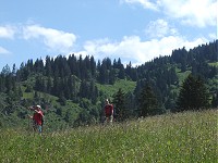 Gstaad-Zweisimmen