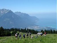 Joux Verte