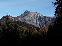 Mélèzes