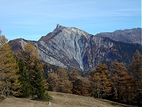 Mélèzes