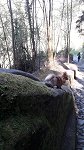 Via Jacobi