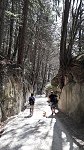Via Jacobi