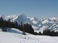 Schwarzsee