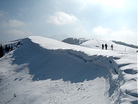 Schwarzsee