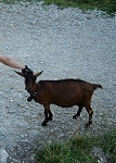 Via ferrata